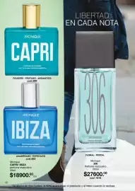 Catálogo Monique Página 40