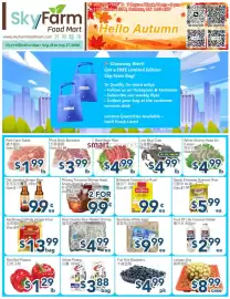 SkyFarm Food Mart flyer week 37 Page 1