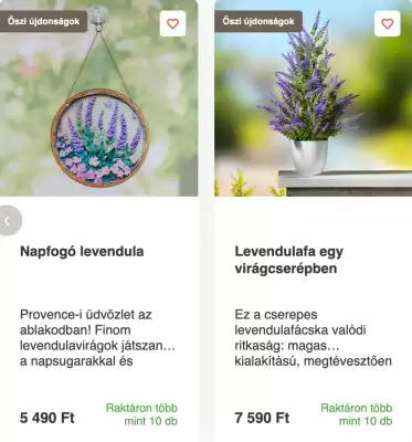 Astoreo (érvényes eddig: 30-09)