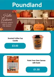 Poundland leaflet Page 3