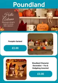 Poundland leaflet Page 4