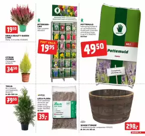 Jem & fix tilbudsavis uge 38 Side 21: Scan-Pot Whiskytønde €298,00, Leca Flora €39,00