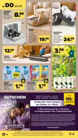 Netto (gültig bis 26-09)