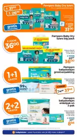 Trekpleister folder Pagina 46
