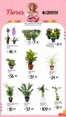 Encarte Giassi Supermercados (válido até 17-09)