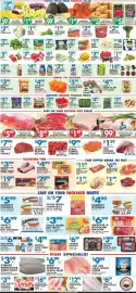 Met Foodmarkets weekly ad week 37 Page 4: Striped Pangasius Swai Fillet €3,99, Sabrett onions €4,99