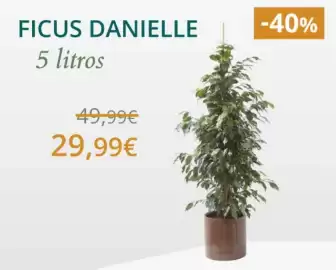 Catálogo Verdecora Página 1