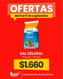 Catálogo Super Nataly semana 37 Página 13
