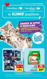 Carrefour Market gazetka Strona 1