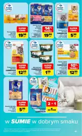 Carrefour Market gazetka Strona 13