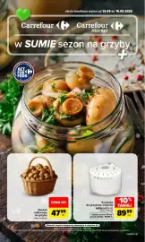 Carrefour gazetka tydzień 38 Strona 1: Koszyk wiklinowy na grzyby €47,99, Suszarka do grzybów, owoców €89,99