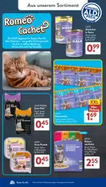 Aldi Süd Prospekt woche 40 Seite 19