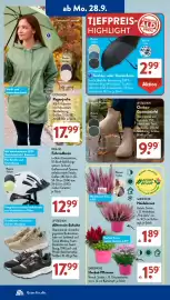 Aldi Süd Prospekt woche 40 Seite 6