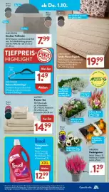 Aldi Süd Prospekt woche 40 Seite 9