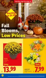 Lidl weekly ad week 38 Page 22: Grower's mix €7,99, Fall mum €13,99