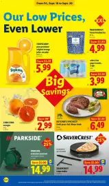 Lidl weekly ad week 38 Page 24: Silvercrest crepe maker €14,99, Cara Cara oranges €2,99