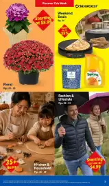 Lidl weekly ad week 38 Page 3: Floral €5,99