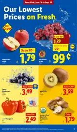 Lidl weekly ad week 38 Page 5: Gold kiwis €3,59, Lidl jumbo blueberries €3,49