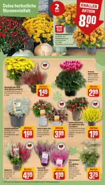 REWE Kaufpark Prospekt woche 38 Seite 6