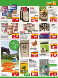 Herkules Baumarkt Prospekt woche 38 Seite 11