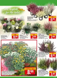 Herkules Baumarkt Prospekt woche 38 Seite 2