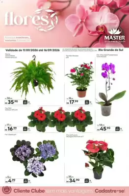 Master (válido até 16-09)