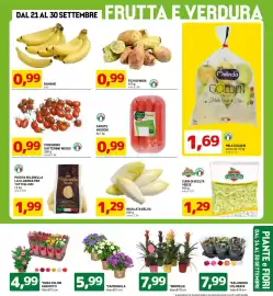Volantino DPiù Pagina 3