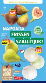 ALDI akciós újság hét 38 Oldal 22