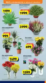 ALDI akciós újság hét 38 Oldal 27