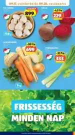 ALDI akciós újság hét 38 Oldal 5