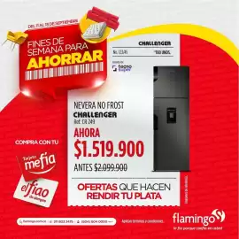 Catálogo Flamingo Página 2