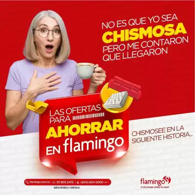 Flamingo (válido hasta 27-09)
