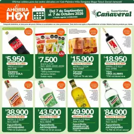 Catálogo Supertiendas Cañaveral Página 10