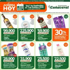 Catálogo Supertiendas Cañaveral Página 11