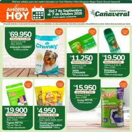 Catálogo Supertiendas Cañaveral Página 12