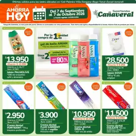 Catálogo Supertiendas Cañaveral Página 13