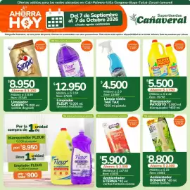 Catálogo Supertiendas Cañaveral Página 17