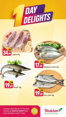 Shaklan (valid until 12-09)
