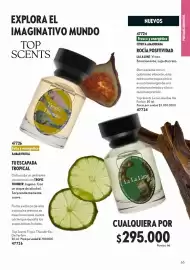 Catálogo Oriflame Página 65
