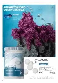 Catálogo Oriflame Página 90