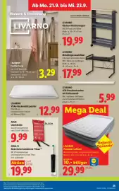 Lidl Flugblatt woche 38 Seite 30