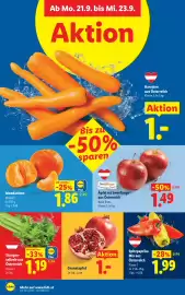 Lidl Flugblatt woche 38 Seite 39