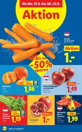 Lidl Flugblatt woche 38 Seite 39