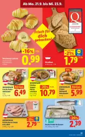 Lidl Flugblatt woche 38 Seite 40
