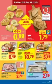 Lidl Flugblatt woche 38 Seite 40