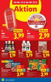 Lidl Flugblatt woche 38 Seite 41