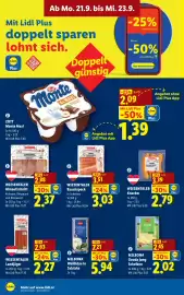 Lidl Flugblatt woche 38 Seite 45