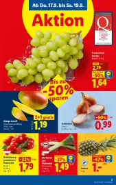 Lidl Flugblatt woche 38 Seite 5