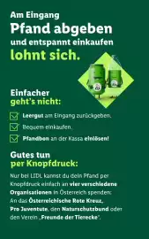 Lidl Flugblatt woche 38 Seite 51