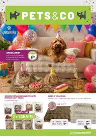 Pets & Co folder Pagina 1